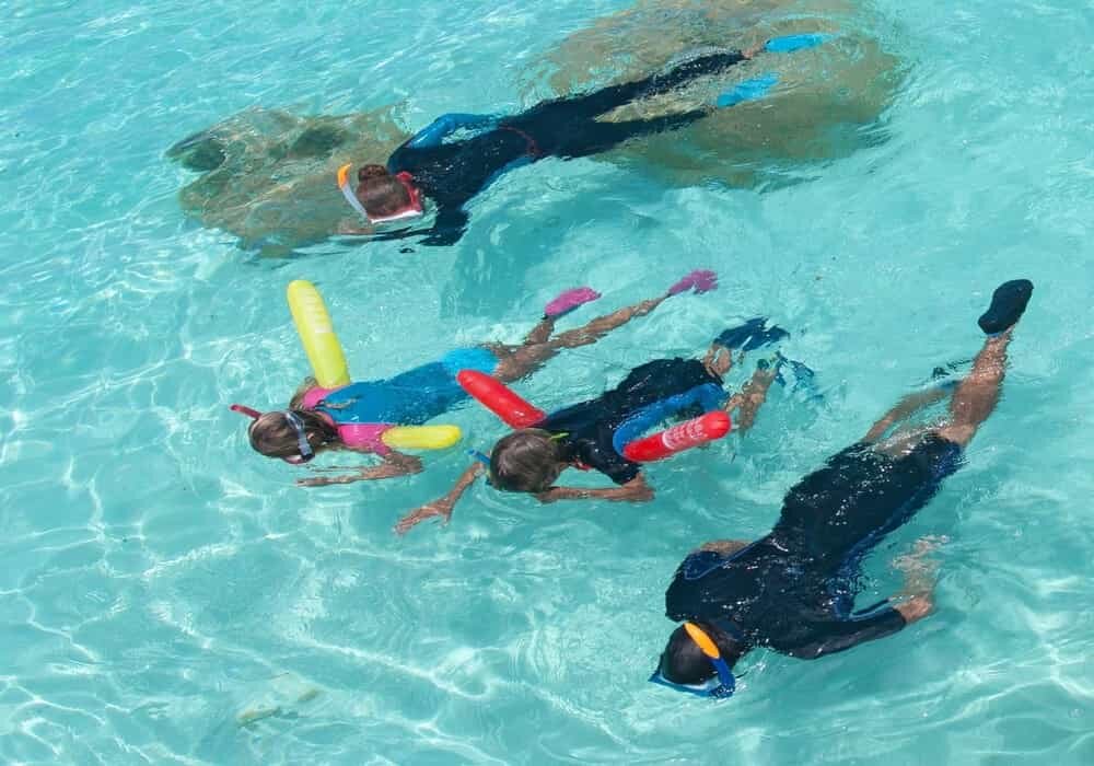 scale_1200 (16).jpeg